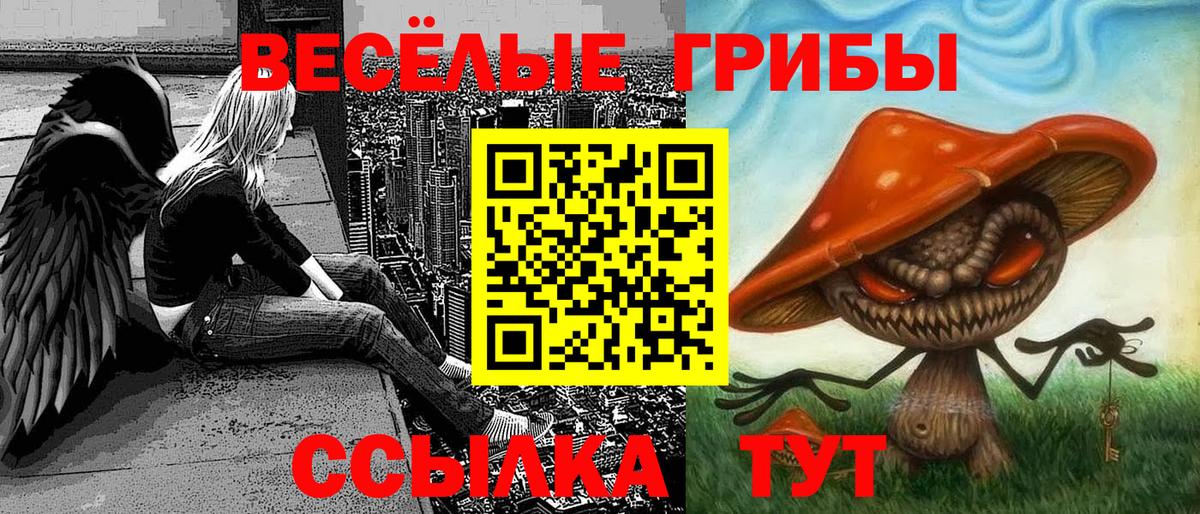 Белореченск  Псилоцибиновые грибы мухоморы  Вход с VPN  Галлюциногенные грибы GOLDEN TEACHER 