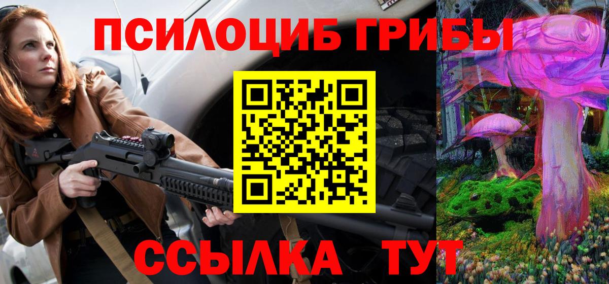 Галлюциногенные грибы Psilocybine cubensis Белореченск